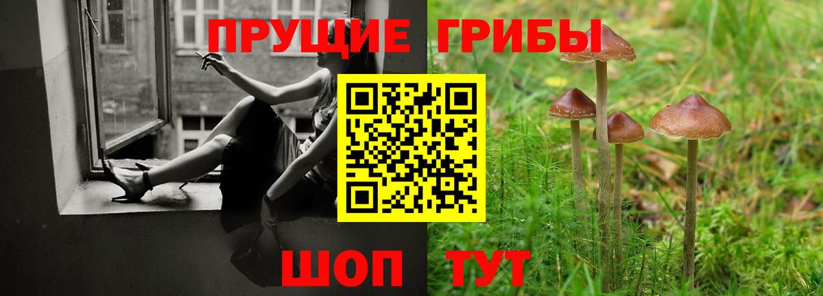 Псилоцибиновые грибы Magic Shrooms  Вход с VPN  Усть-Джегута 